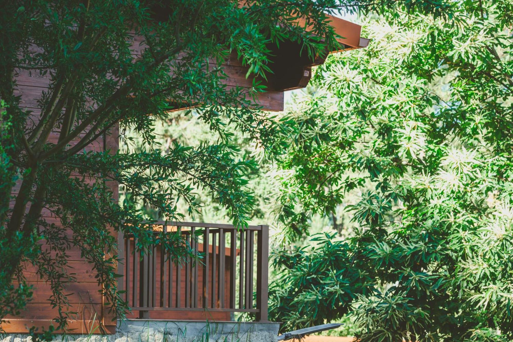 Quinta Do Lameiro Tarouca Exterior photo